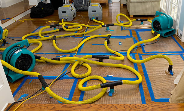 Professional Storm Water Damage Restoration technician working in Moapa, NV